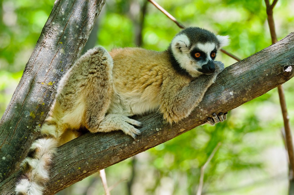 Madagaskar-016.jpg