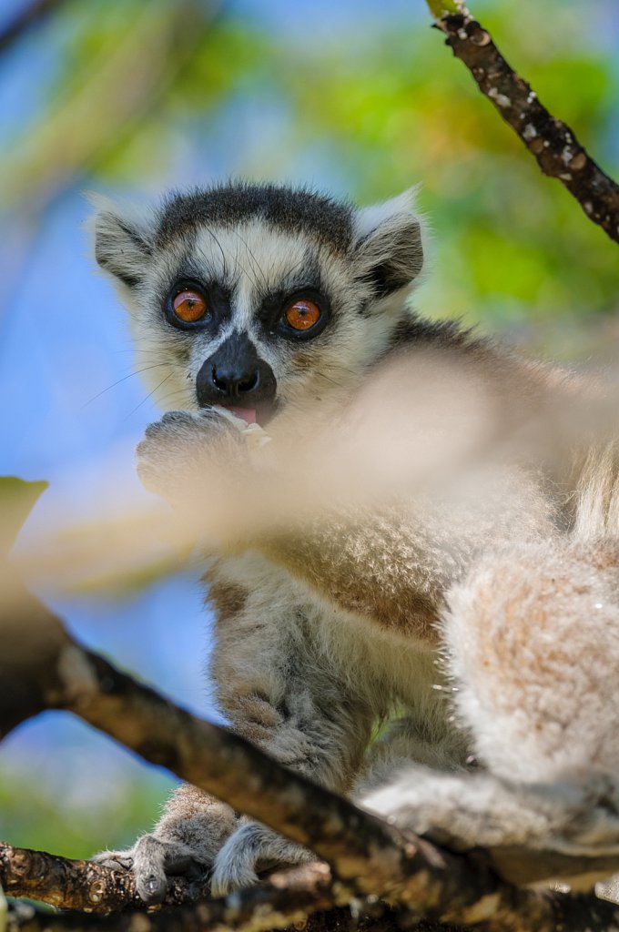 Madagaskar-017.jpg